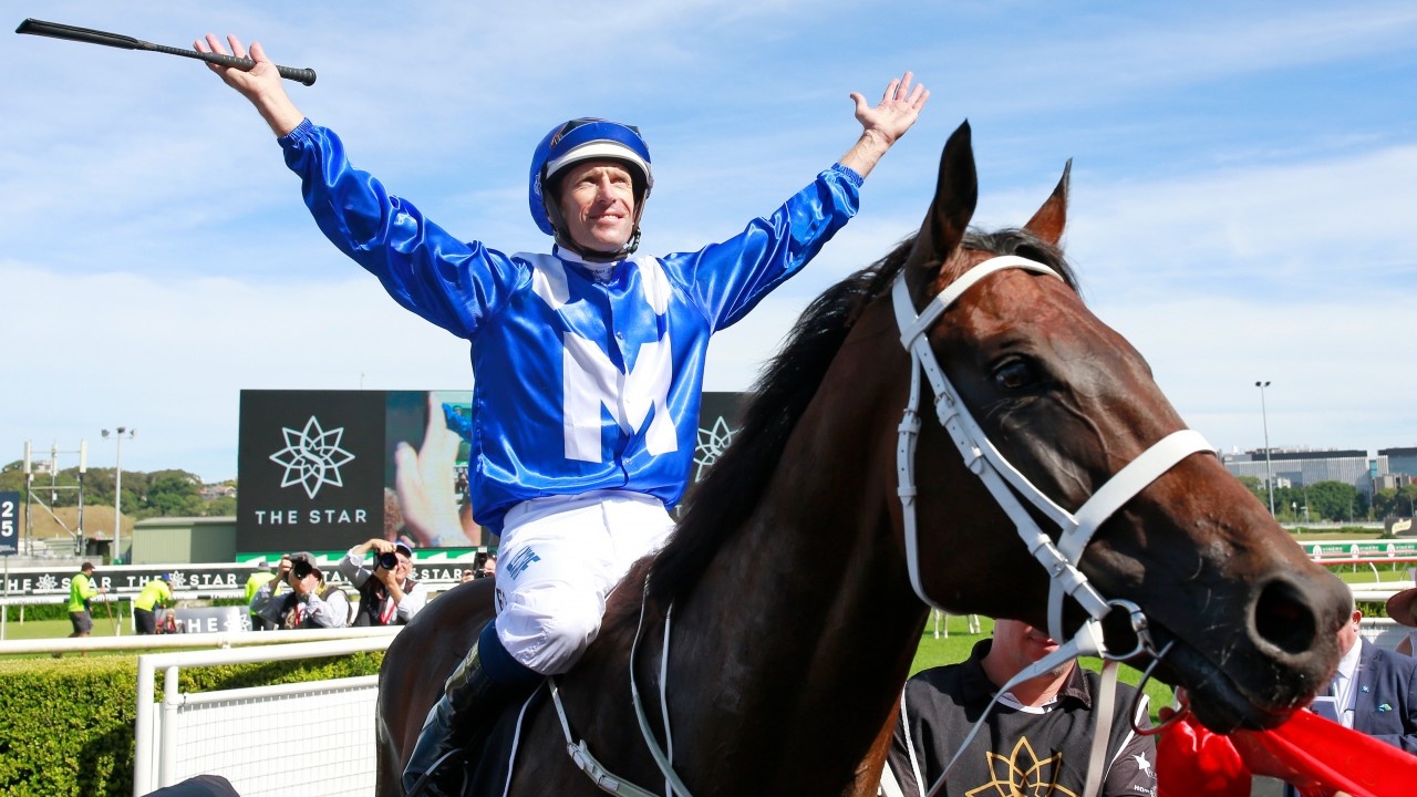 Bowman Confident Lost And Running A Genuine Everest Horse Image 1
